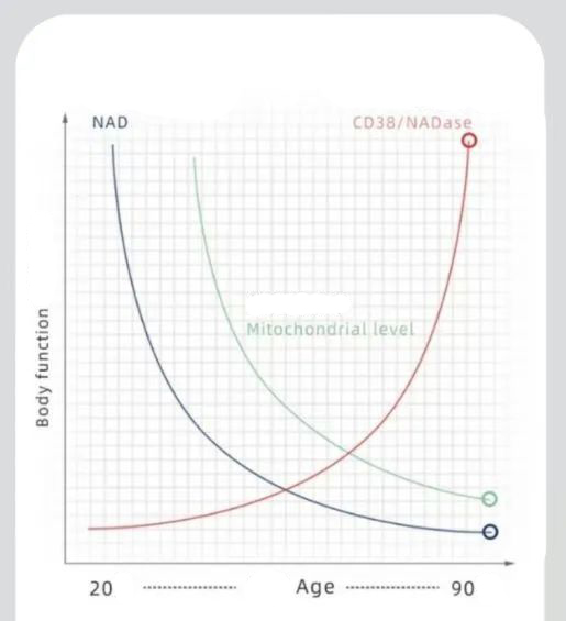 Reduction of NAD + levels