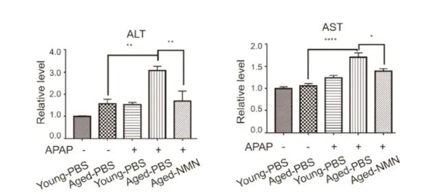 NMN prevents liver damage